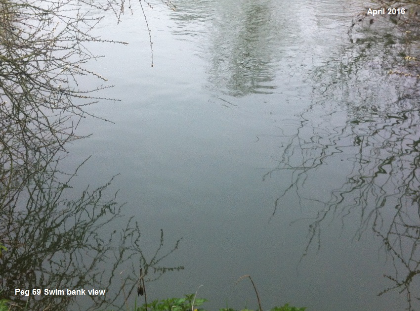BANK SWIM VIEW